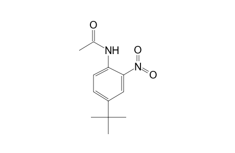 4'-tert-butyl-2'-nitroacetanilide