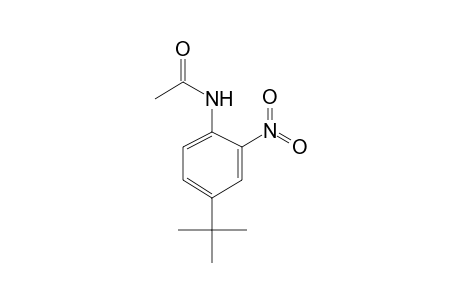 4'-tert-butyl-2'-nitroacetanilide