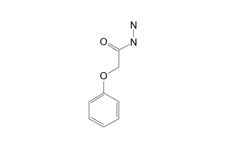 phenoxyacetic acid, hydrazide