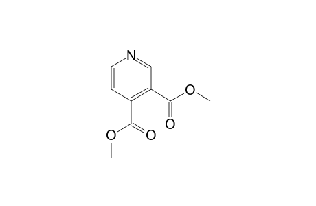 3,4-DIMETHOXYCARBONYLPYRIDINE