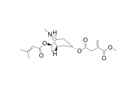 3.alpha.-(1-Methylitaconyl)-6.beta.-senecioyloxytropane