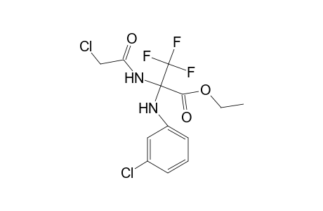 Ethyl 2-(2-chloroacetamido)-2-(3-chloroanilino)-3,3,3-trifluoropropionate