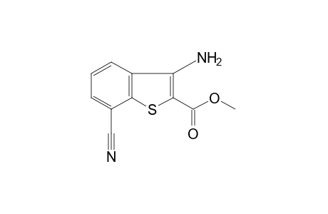 3-amino-7-cyanobenzo[b]thiophene-2-carboxylic acid, methyl ester