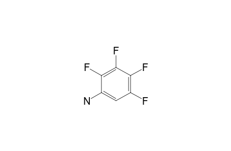 2,3,4,5-Tetrafluoroaniline