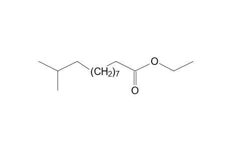 11-METHYL-ETHYLDODECANOATE