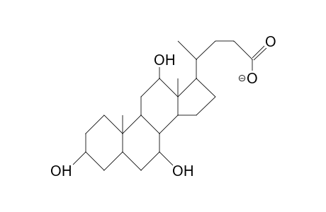 Cholic acid, anion