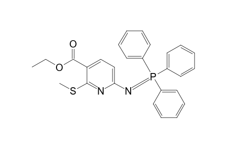 3-carboethoxy-2-methylthio-6-[(triphenyl-.lambda.5-phosphanylidene)amino]pyridine