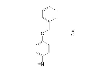p-(benzyloxy)aniline, hydrochloride