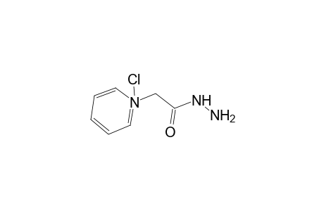 1-(2-hydrazino-2-oxoethyl)pyridinium chloride