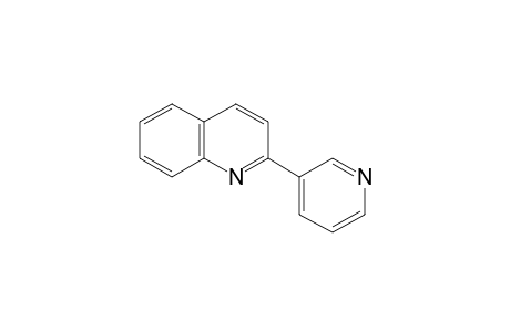 2-(3-pyridyl)quinoline