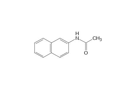 ACETAMIDE, N-/2-NAPHTHYL/-,