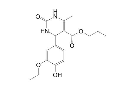 propyl 4-(3-ethoxy-4-hydroxyphenyl)-6-methyl-2-oxo-1,2,3,4-tetrahydro-5-pyrimidinecarboxylate
