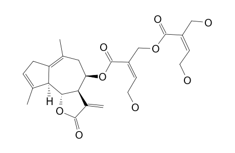 ZUUBERGENIN,DESACETYL,8-beta-(5'-(4",5"-DIHYDROXYTIGLOYLOXY)-4'-HYDROXYTIGLOYLOXY)