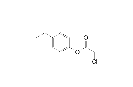 Chloroacetic acid, 4-isopropylphenyl ester