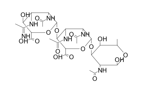 BETA-TRISACCHARIDE 2 (FROM PSEUDOMONAS AERUGINOSA O)