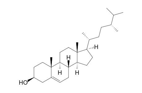 5-Cholesten-24α-methyl-3β-ol (30% 24β)