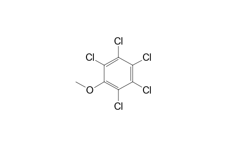 Pentachloroanisole