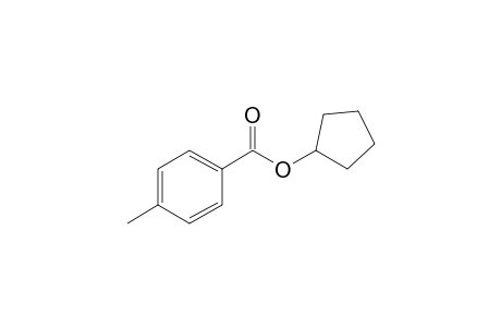 p-Toluicacid,cyclopentyl ester