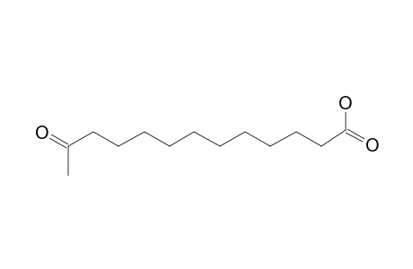 Tridecanoic acid, 12-oxo-