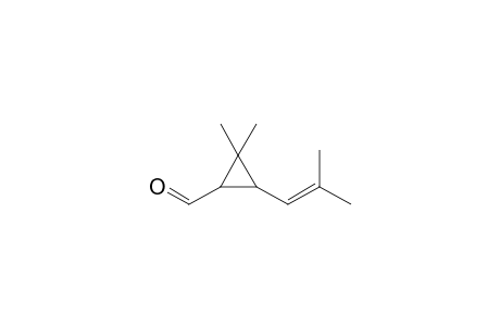 TRANS-CHRYSANTHEMAL