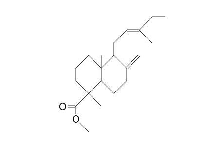 4-BETA-CARBOMETHOXY-12-DEHYDRO-13-DEHYDROXYMANOOL