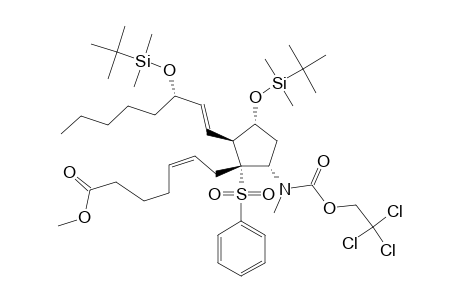 METHYL-(5Z,13E,8R,9S,11R,12S,15S)-11,15-BIS-(TERT.-BUTYLDIMETHYLSILOXY)-9-[[CARBO-TRICHLORETHOXY)]-METHYLAMINO]-8-PHENYLSULPHONYL-5,13-PROSTADIENOAT;CMPND-#108