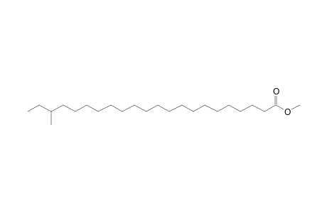 Methyl 20-methyl-docosanoate