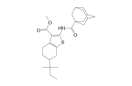 Methyl 2-[(1-adamantylcarbonyl)amino]-6-tert-pentyl-4,5,6,7-tetrahydro-1-benzothiophene-3-carboxylate