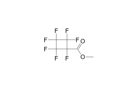 CARBOMETHOXYHEPTAFLUOROCYCLOBUTANE