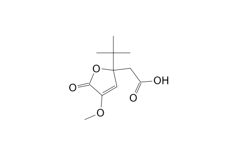 2-Furanacetic acid, 2-(1,1-dimethylethyl)-2,5-dihydro-4-methoxy-5-oxo-