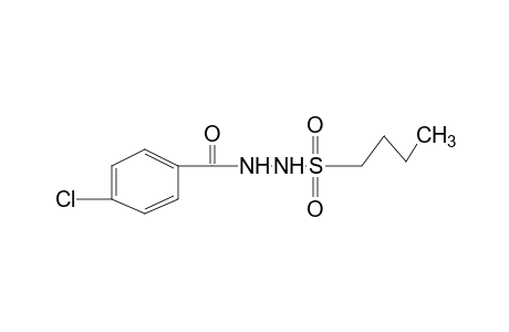 1-(butylsulfonyl)-2-(p-chlorobenzoyl)hydrazine