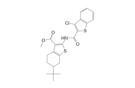 benzo[b]thiophene-3-carboxylic acid, 2-[[(3-chlorobenzo[b]thien-2-yl)carbonyl]amino]-6-(1,1-dimethylethyl)-4,5,6,7-tetrahydro-, methyl ester