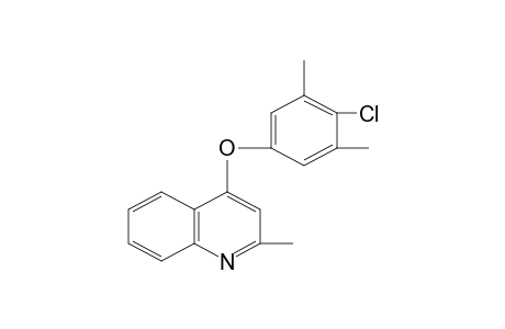 4-[(4-chloro-3,5-xylyl)oxy]quinaldine