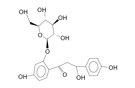 ROCYMOSIN-B;2'-O-BETA-D-GLUCOPYRANOSYL-4,4',BETA-TRIHYDROXYDIHYDROCHALCONE