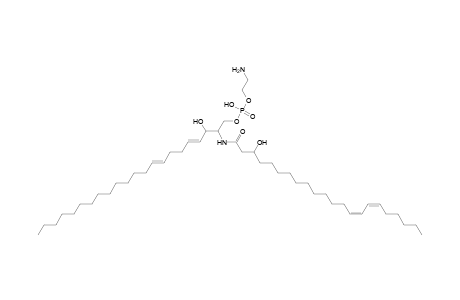 PE-Cer 22:2;2O/22:2;O