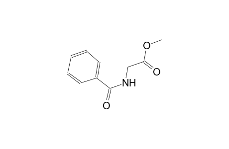 Hippuric acid methyl ester
