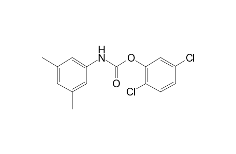 3,5-dimethylcarbanilic acid, 2,5-dichlorophenyl ester