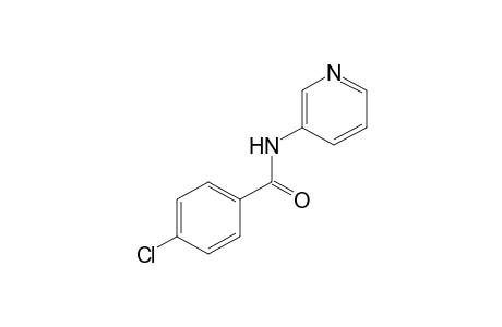 p-chloro-N-(3-pyridyl)benzamide