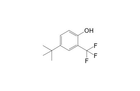 4-tert-Butyl-2-trifluoromethylphenol