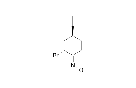 (E)-TRANS-4-TERT.-BUTYL-2-BROMOCYCLOHEXANONE-OXIME