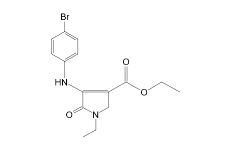 4-(p-bromoanilino)-1-ethyl-5-oxo-3-pyrroline-3-carboxylic acid, ethyl ester