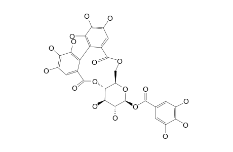 STRICTININ;1-O-GALLOYL-4,6-O-(S)-HEXAHYDROXYDIPHENOYL-BETA-D-GLUCOPYRANOSIDE