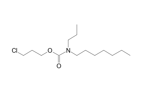 Carbonic acid, monoamide, N-propyl-N-heptyl-, 3-chloropropyl ester