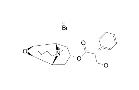 SCOPOLAMINE-AX-BU(N)BR