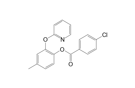 4-Methyl-2-(pyridin-2-yloxy)phenyl 4-chlorobenzoate