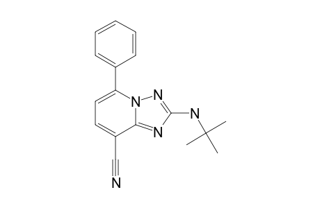2-tert-Butylamino-5-phenyl[1,2,4]triazolo[1,5-a]pyridine-8-carbonitrile