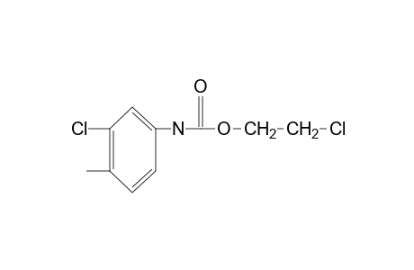 3-chloro-4-methylcarbanilic acid, 2-chloroethyl ester