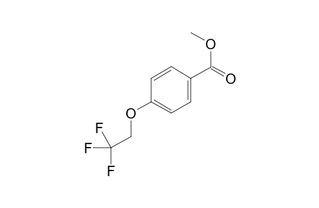 Methyl 4-(2,2,2-trifluoroethoxy)benzoate