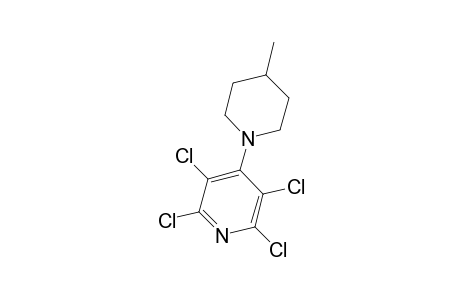 2',3',5',6'-Tetrachloro-4-methyl-3,4,5,6-tetrahydro-2H-[1,4']bipyridinyl