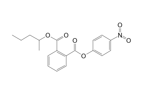 Phthalic acid, 4-nitrophenyl 2-pentyl ester